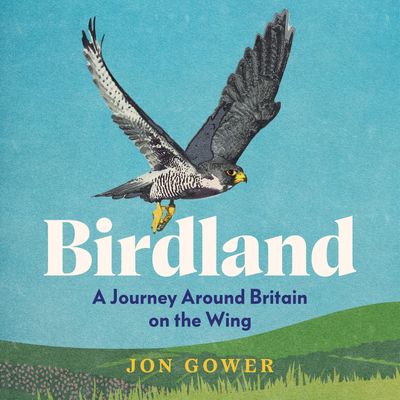  - Jon Gower, Read by Jon Gower