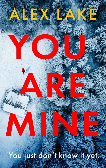 Cover image for You Are Mine - Alex Lake
