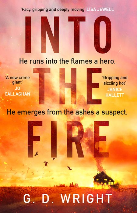 Cover image for Into the Fire - G. D. Wright