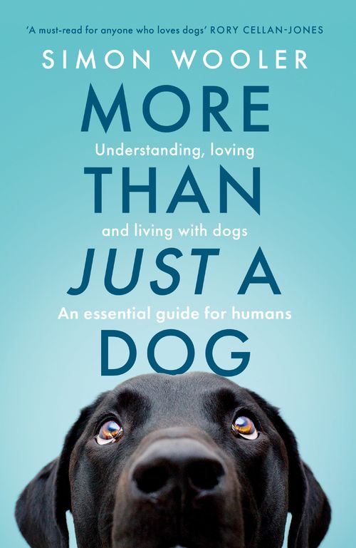 More Than Just a Dog, Literature, Culture & Art, Paperback, Simon Wooler
