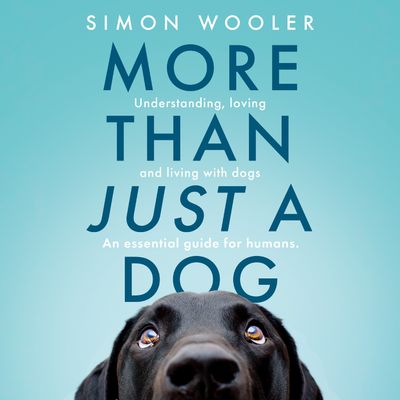  - Simon Wooler, Read by Simon Wooler