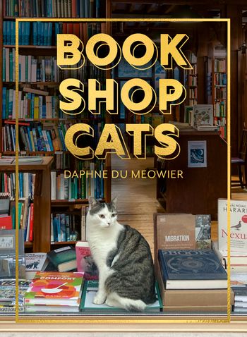 Cover image for Bookshop Cats - Daphne du Meowier