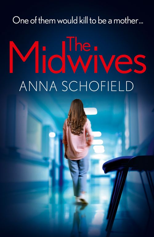 The Midwives: New in autumn 2024, the pulse-pounding psychologic - Image 9