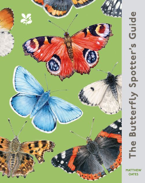 The Butterfly Spotter’s Guide, Non-Fiction, Hardback, Matthew Oates, Illustrated by Ella Sienna