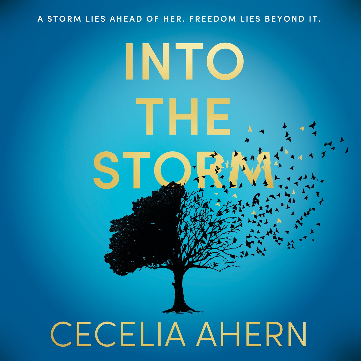INTO THE STORM
