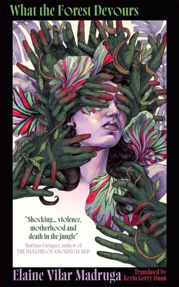 Cover image for  - Elaine Vilar Madruga, Translated by Kevin Gerry Dunn