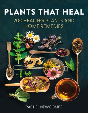 Plants That Heal: 200 Healing Plants and Home Remedies - Rachel Newcombe