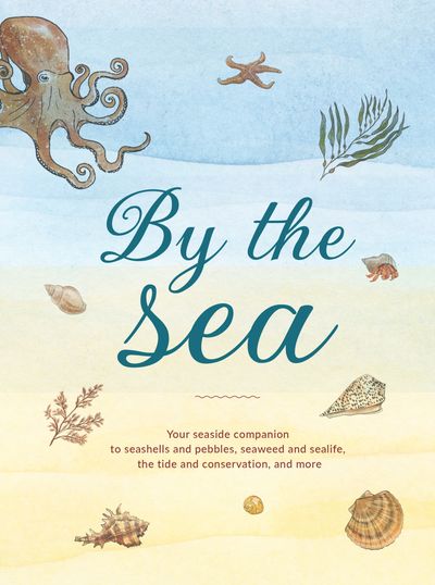 Cover image for Hidden Nature series - By the Sea: Your coastline companion, from beautiful beaches and marine miscellany, to stunning seashells, seaweed, and sealife (Hidden Nature series) - Susan Kelly, Illustrated by Katy Christianson