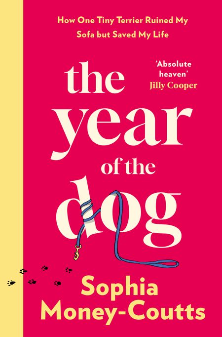 Cover image for The Year of the Dog: How One Tiny Terrier Ruined My Sofa but Saved My Life - Sophia Money-Coutts