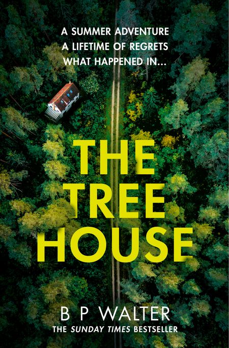 Cover image for The Treehouse - B P Walter