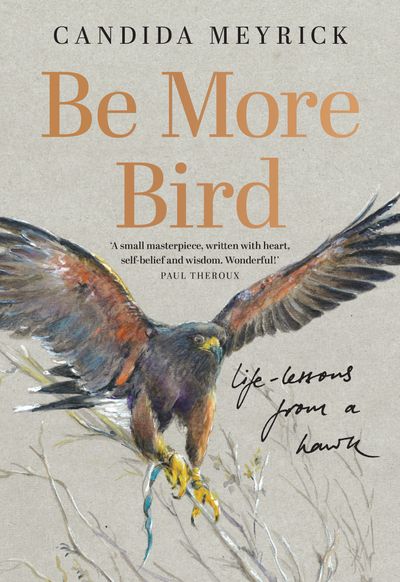 Cover image for Be More Bird: Life Lessons from a Harris Hawk - Candida Meyrick