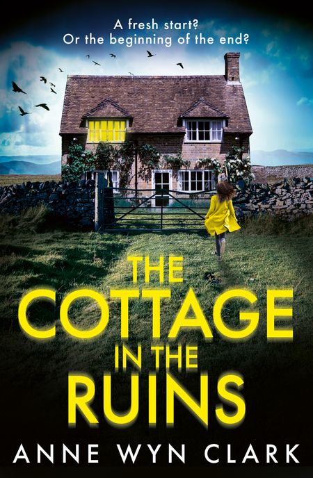 Cover image for The Cottage in the Ruins - Anne Wyn Clark