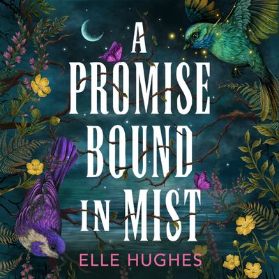 Cover image for A Promise Bound in Mist: Unabridged edition - Elle Hughes, Read by Alice Walker