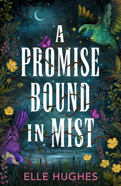 Cover image for A Promise Bound in Mist - Elle Hughes