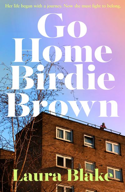 Cover image for Go Home Birdie Brown - Laura Blake