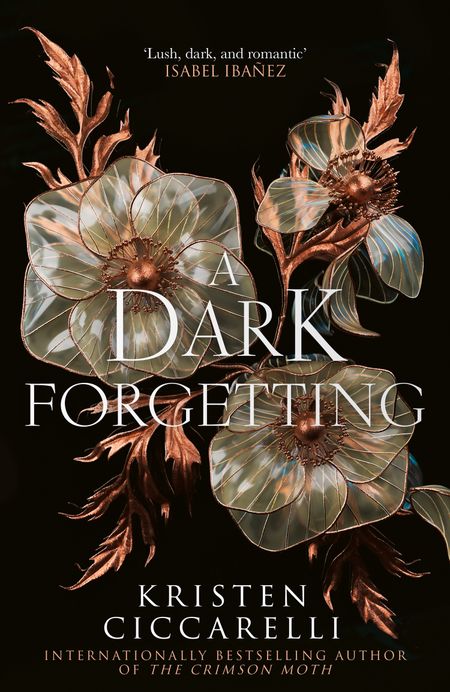 Cover image for A Dark Forgetting - Kristen Ciccarelli
