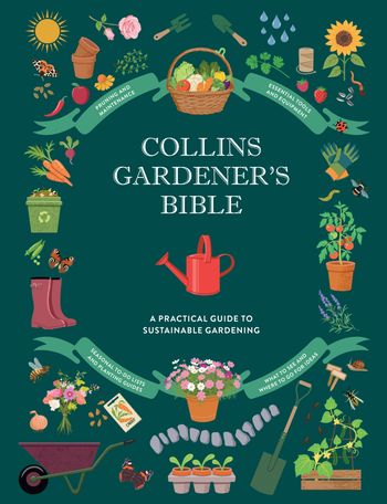 Cover image for  - Claire Jones and Rachel Newcombe, Illustrated by Mikki Butterley
