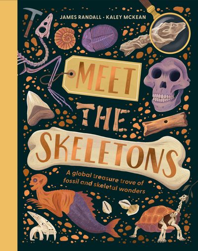Cover image for Meet the Skeletons - James Randall, Illustrated by Kaley McKean