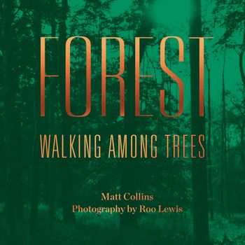 Cover image for Forest: Walking among trees: Unabridged edition - Matt Collins, Photographs by Roo Lewis, Read by to be announced