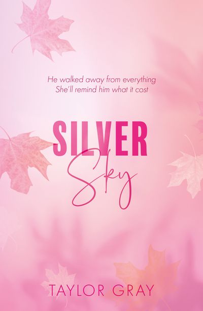 Cover image for The Carter Brothers - Silver Sky (The Carter Brothers, Book 2) - Taylor Gray