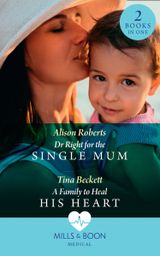Dr Right For The Single Mum / A Family To Heal His Heart
