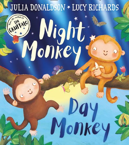 Cover image for Night Monkey, Day Monkey - Julia Donaldson, Illustrated by Lucy Richards
