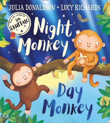 Cover image for Night Monkey, Day Monkey - Julia Donaldson, Illustrated by Lucy Richards