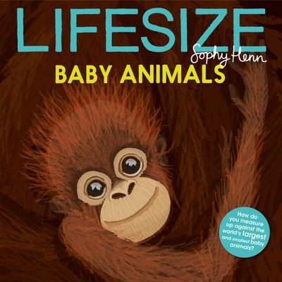 Lifesize Baby Animals - Sophy Henn