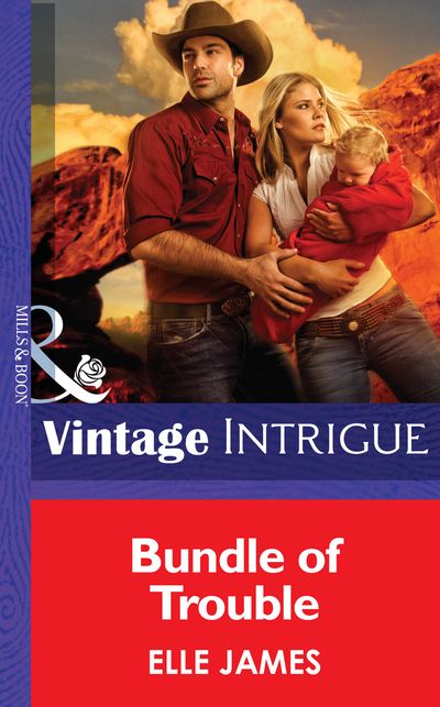 Cover image for Bundle Of Trouble (Mills & Boon Intrigue): First edition - Elle James