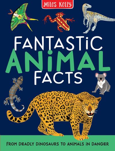 Cover image for Fantastic Animal Facts - Miles Kelly