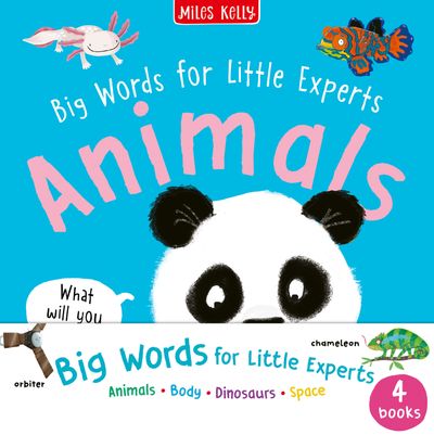 Cover image for Big Words for Little Experts - Big Words for Little Experts 4-pack (Big Words for Little Experts) - Fran Bromage and Miles Kelly