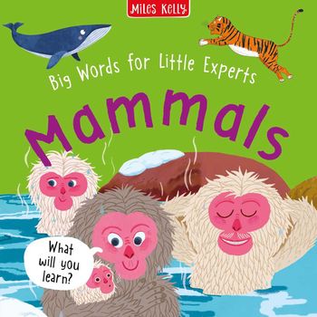 Cover image for Little Experts – Mammals (Little Experts) - Fran Bromage and Miles Kelly