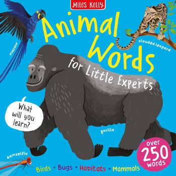 Cover image for Little Experts – Animal Words (Little Experts) - Miles Kelly