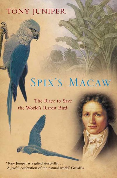 Spix’s Macaw: The Race to Save the World’s Rarest Bird - Tony Juniper