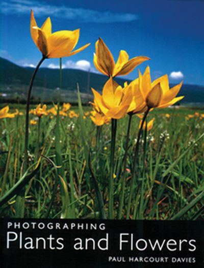 Photographing Plants and Flowers - Paul Harcourt Davies