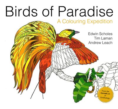 Colouring Books - Birds of Paradise: A colouring expedition (Colouring Books) - Illustrated by Andrew Leach, Written by Edwin Scholes, Photographs by Tim Laman