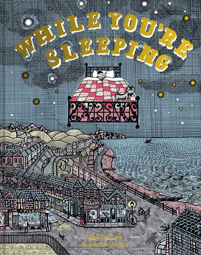 While You're Sleeping - Mick Jackson, Illustrated by John Broadley