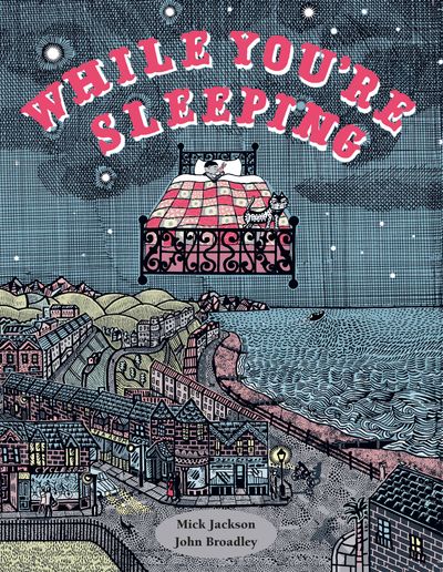 Cover image for While You're Sleeping - Mick Jackson, Illustrated by John Broadley