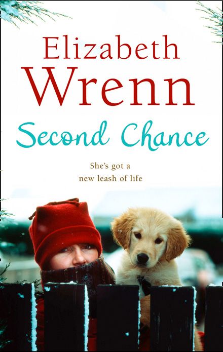 Second Chance, Contemporary Fiction, Paperback, Elizabeth Wrenn