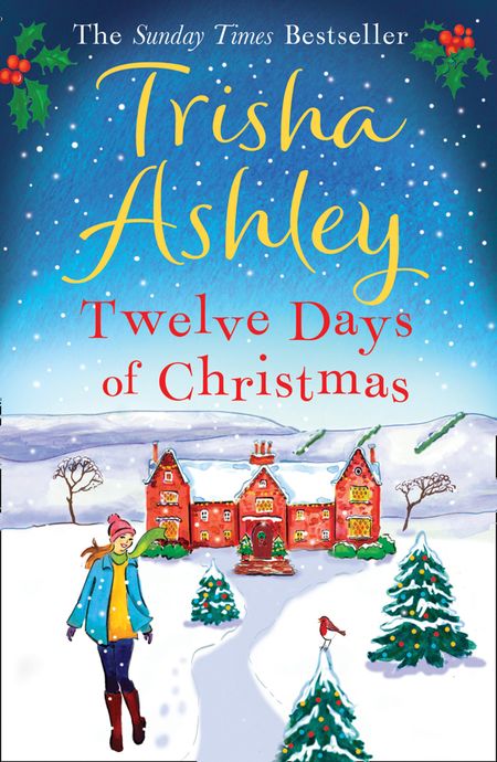 Cover image for Twelve Days of Christmas - Trisha Ashley
