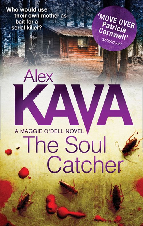 The Soul Catcher, Crime & Thriller, Paperback, Alex Kava