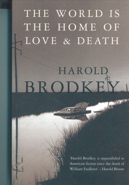 Cover image for The World Is the Home of Love and Death - Harold Brodkey