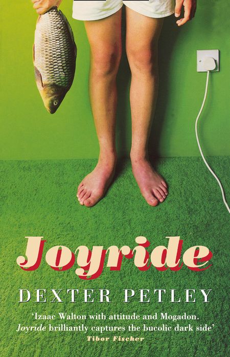 Cover image for Joyride - Dexter Petley