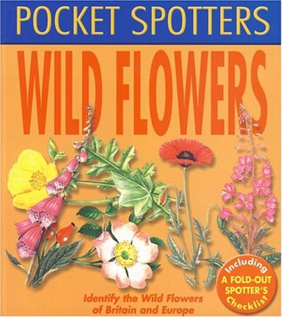 Pocket Spotters Wild Flowers - Pamela Forey