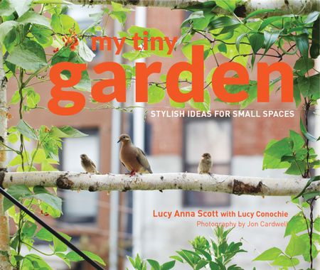 Cover image for My Tiny - My Tiny Garden: Stylish ideas for small spaces (My Tiny): First edition - Lucy Scott and Jon Cardwell