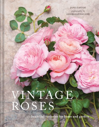Vintage Roses: Beautiful varieties for home and garden - Jane Eastoe, By (photographer) Georgianna Lane