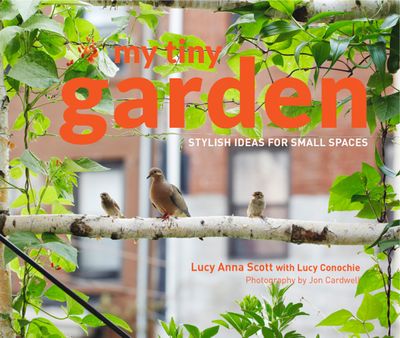 My Tiny Garden - Lucy Scott and Jon Cardwell