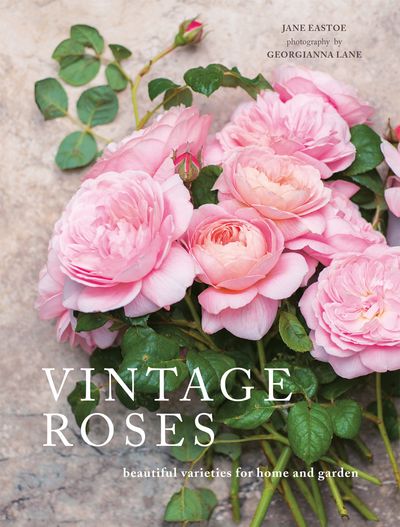 Vintage Roses - Jane Eastoe