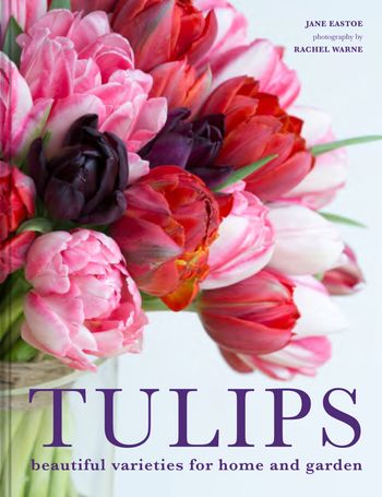 Tulips: Beautiful varieties for home and garden - Jane Eastoe, Illustrated by Rachel Warne