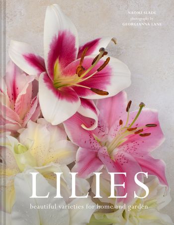 Lilies: Beautiful varieties for home and garden - Naomi Slade, By (photographer) Georgianna Lane